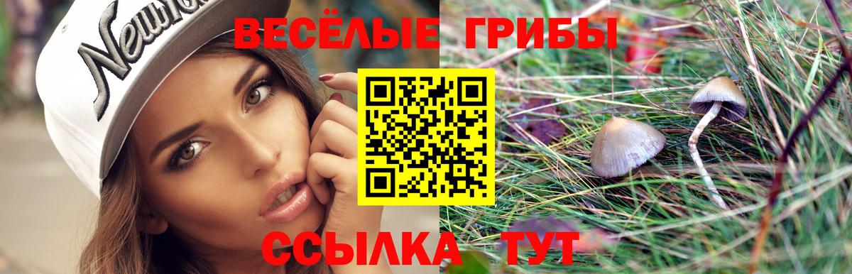 Галлюциногенные грибы Magic Shrooms  Вход с VPN  Каспийск  Псилоцибиновые грибы Psilocybine cubensis 