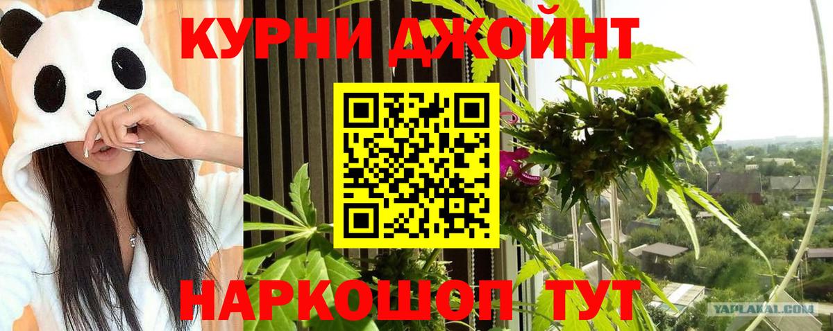 Бошки марихуана марихуана  Вход с VPN  МАРИХУАНА план  Канабис Bruce Banner  МАРИХУАНА MAZAR  Каспийск 